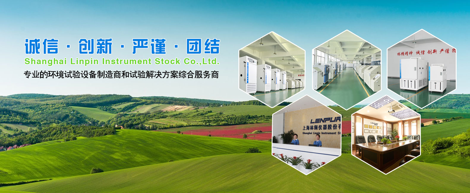 ��Ƶ����������