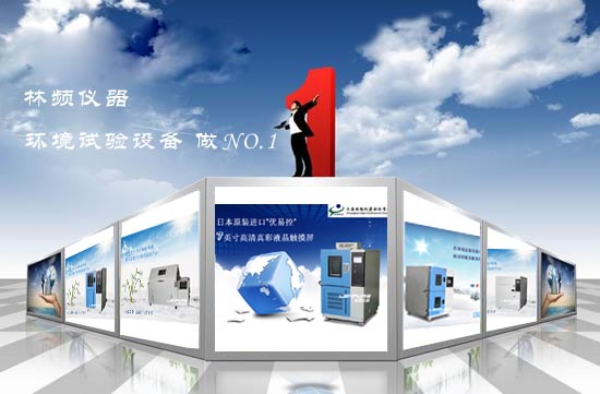 ��Ƶ����