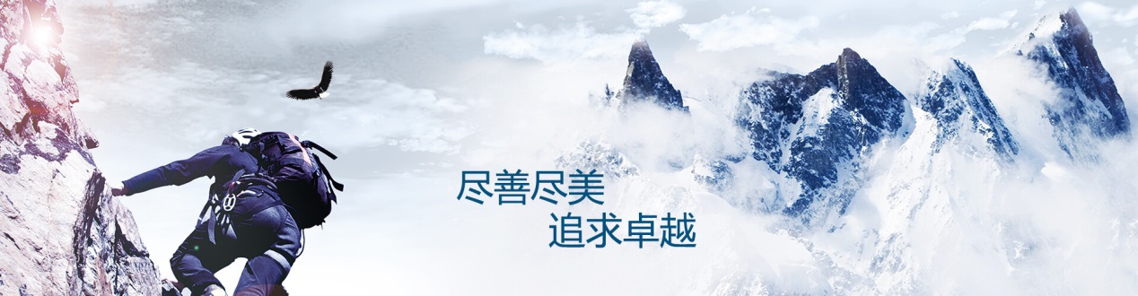 ��Ƶ�ߵ���������